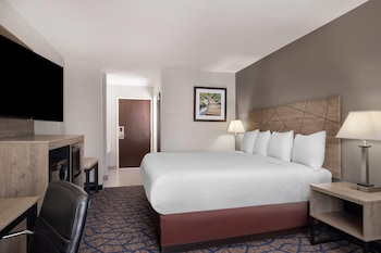 Room, 1 King Bed, Non Smoking