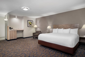Business Room, 1 King Bed, Non Smoking