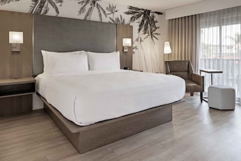 Deluxe Room, 1 King Bed, Courtyard View (Mobility & Hearing Accessible w/ Tub)