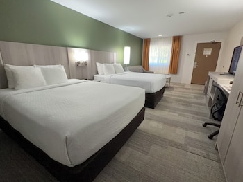 Standard 2 Queen Bed Exterior
