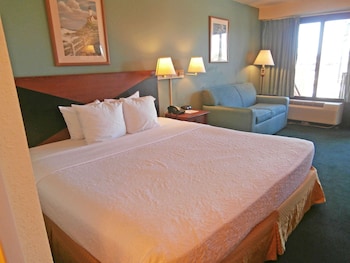 Room, 1 King Bed, Smoking