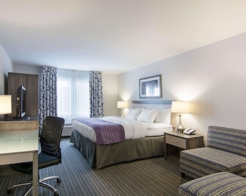 Standard Room, 1 King Bed, Non Smoking
