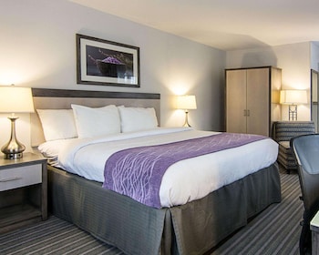 Room, 1 King Bed, Accessible, Non Smoking