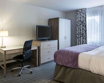 Standard Room, 1 King Bed, Non Smoking