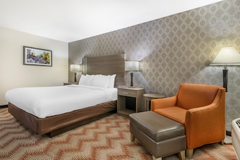 Standard Room, 1 King Bed, Accessible, Non Smoking (View)