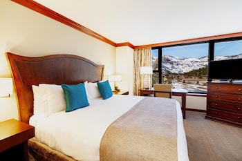Suite, 1 Bedroom