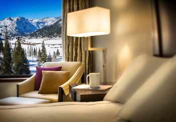 Suite, 1 Bedroom