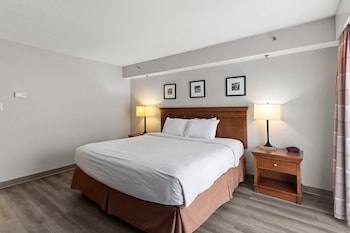 Suite, 1 Bedroom, Non Smoking