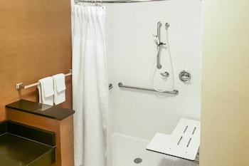 Room, 1 King Bed, Roll-in Shower (Mobility & Hearing Accessible)