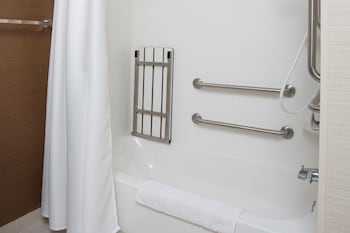 Studio, 1 King Bed with Sofa bed