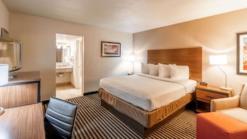 Standard Room, 1 King Bed, Non Smoking, Refrigerator & Microwave (Shower Only)
