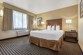 Standard Room, 1 Queen Bed, Accessible, Non Smoking