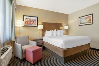 Standard Room, 1 King Bed, Non Smoking, Refrigerator & Microwave (Shower Only)