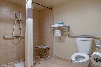 Standard Room, 1 Queen Bed, Accessible, Non Smoking