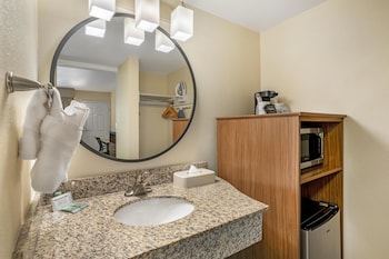Standard Room, 1 King Bed, Non Smoking, Refrigerator & Microwave (Shower Only)