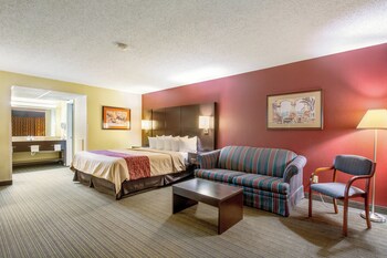 Superior Room, Accessible, Non Smoking (1 King Bed)