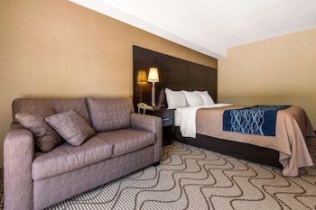 Standard Room, 1 Kind bed 1 Sofa Bed - Ground Floor, Non-Smoking