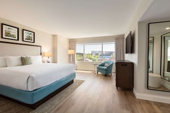 Suite, 1 Bedroom