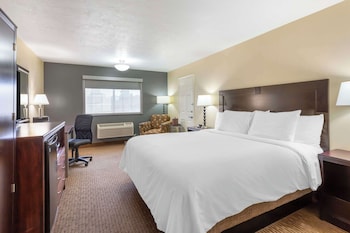 Standard Room, 1 King Bed, Accessible, Non Smoking
