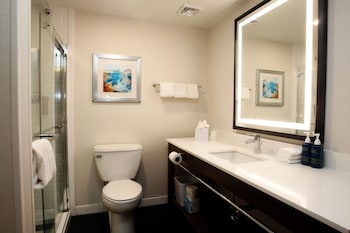 Room, 1 King Bed, Hearing Accessible