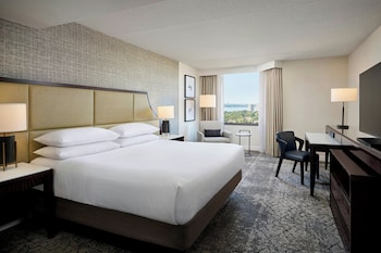 Room, 1 King Bed