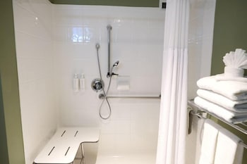 Room, 1 Queen Bed, Accessible (Accessible with roll-in shower)