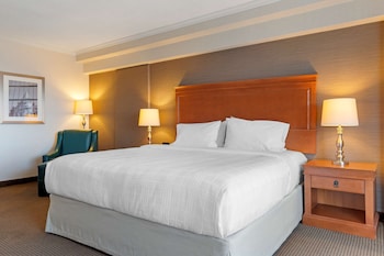 Standard Room, 1 King Bed, Balcony, River View