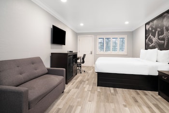 Basic Room, 1 King Bed, Accessible Bathtub, Sofabed not included