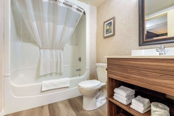 Suite, 1 King Bed, Non Smoking (Efficiency)