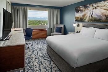 Room, 1 King Bed