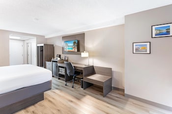 Standard Room, 1 King Bed, Non Smoking