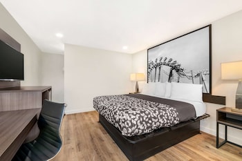 Room, 1 King Bed, Non Smoking