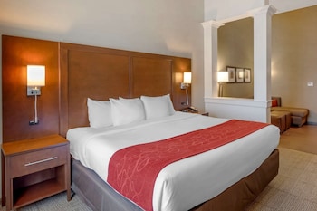 Suite, 1 King Bed with Sofa bed, Accessible, Non Smoking