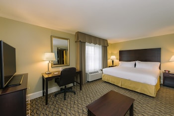 Suite, 1 King Bed