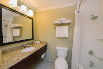 Suite, 1 King Bed