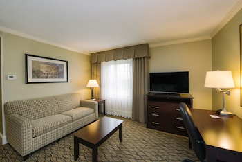 Suite, 1 King Bed