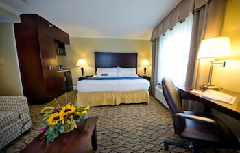 Suite, 1 King Bed