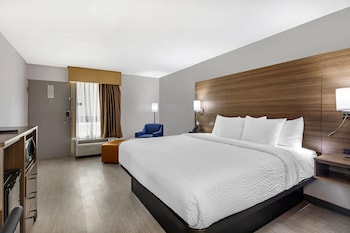 Room, 1 King Bed, Accessible, Smoking