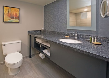 Studio Suite, 1 King Bed