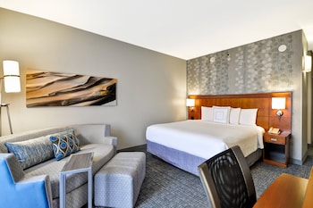 Room, 1 King Bed with Sofa bed