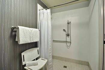 Room, 1 King Bed with Sofa bed (Mobility Accessible, Roll-In Shower)