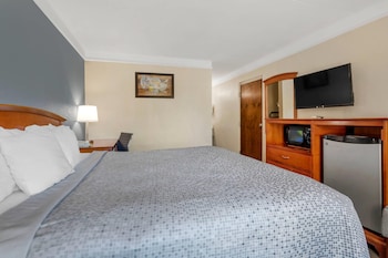 Room, 1 King Bed, Accessible, Non Smoking