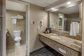 Suite, Multiple Beds, Non Smoking
