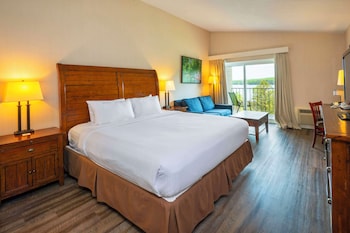 Room, 1 King Bed with Sofa bed, Non Smoking (Lakefront)