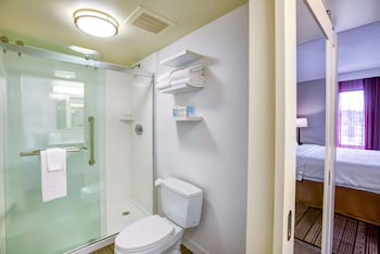 1 King Bed Studio Suite w/Sofabed