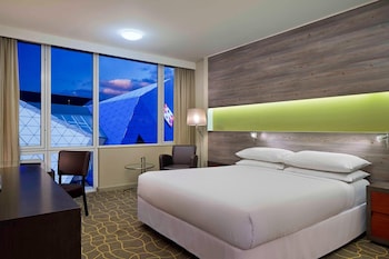 Room, 1 King Bed
