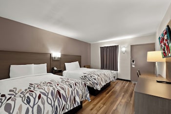 Deluxe Room, 2 Queen Beds, Non Smoking (First Floor)