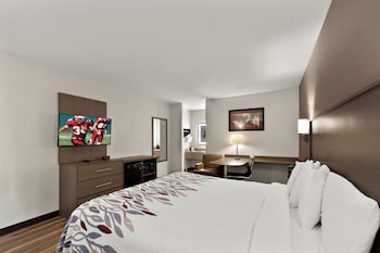 Superior Room, 1 King Bed, Non Smoking (Second Floor)