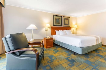 Deluxe Room, 1 King Bed, Accessible, Courtyard View