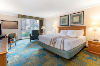 Suite, 1 King Bed, Non Smoking (Courtyard/Pool View)